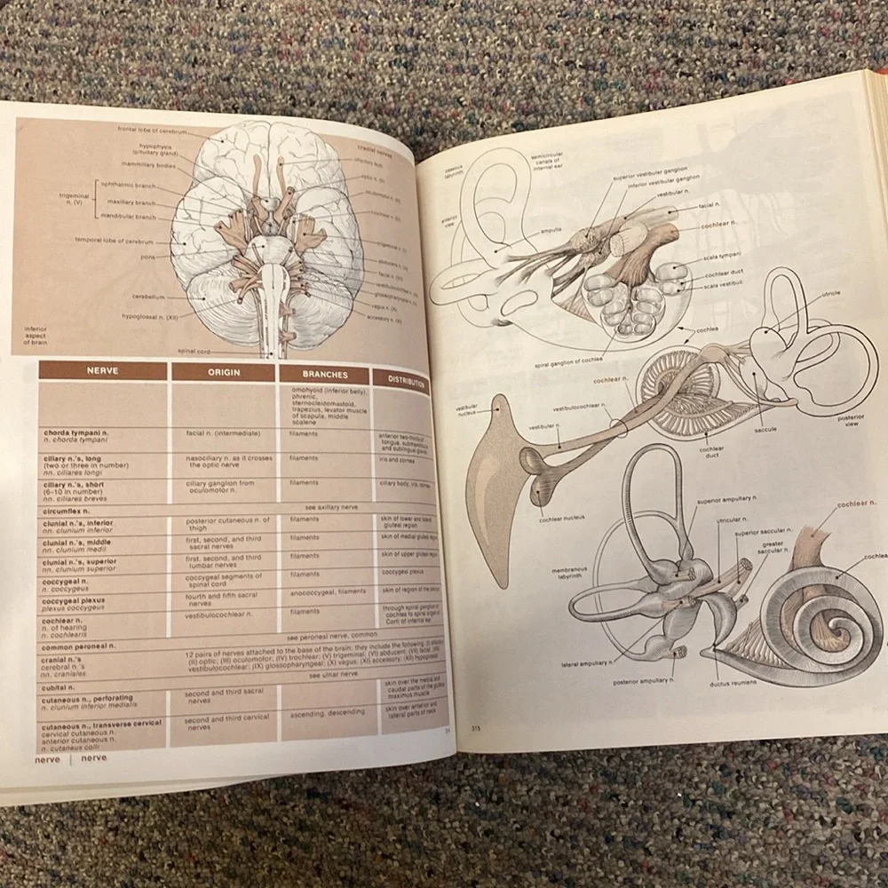 Vintage antique hardcover medical book - timeless resource and cool collectible - Picture 7 of 7